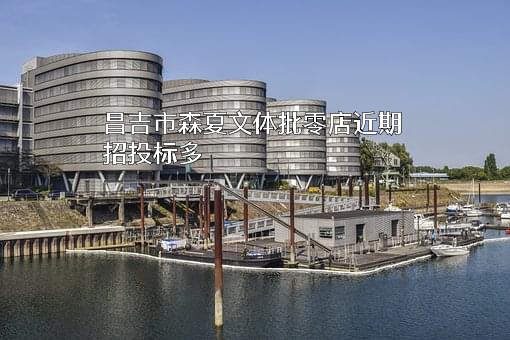 昌吉市森夏文体批零店