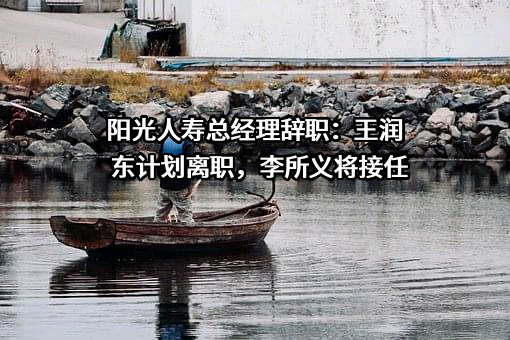 阳光人寿保险股份有限公司