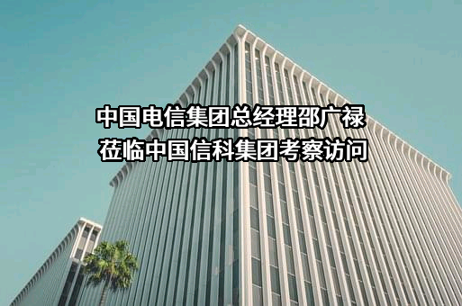 中国电信集团有限公司