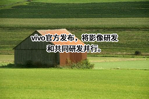 维沃移动通信有限公司