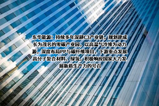 东华能源股份有限公司