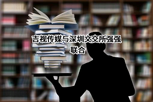 深圳文化产权交易所有限公司