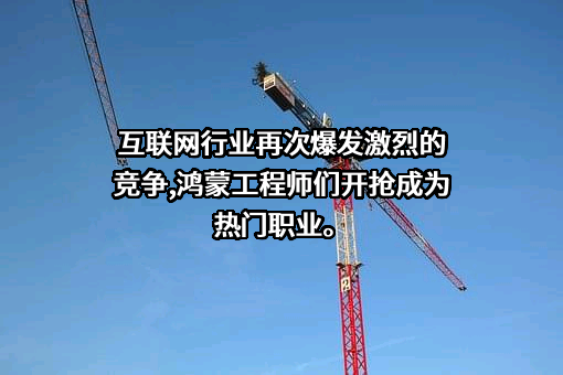 华为技术有限公司