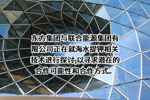东方集团股份有限公司