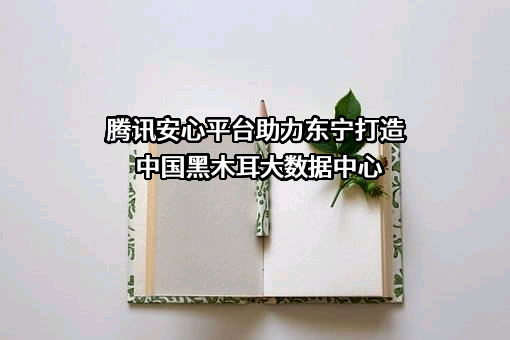 深圳市腾讯计算机系统有限公司
