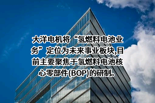 中山大洋电机股份有限公司