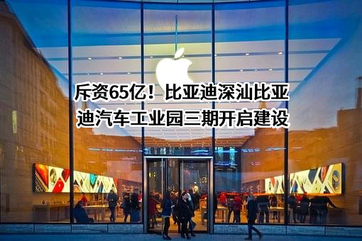 比亚迪股份有限公司