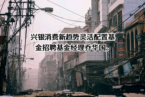 兴银基金管理有限责任公司