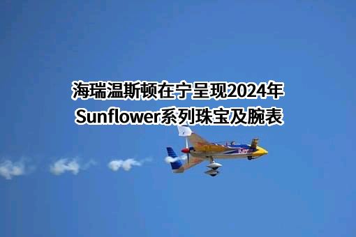 海瑞温斯顿商业（中国）有限公司