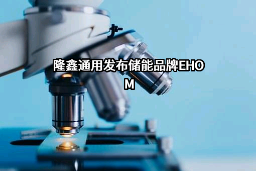 隆鑫通用动力股份有限公司