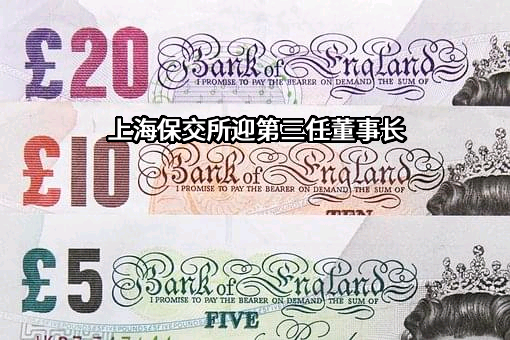 上海保险交易所股份有限公司