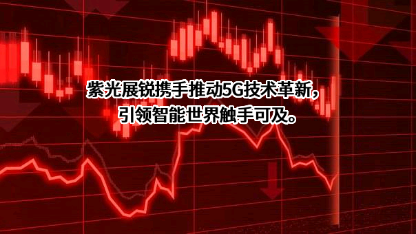 紫光展锐（上海）科技有限公司