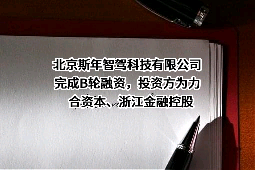 北京斯年智驾科技有限公司