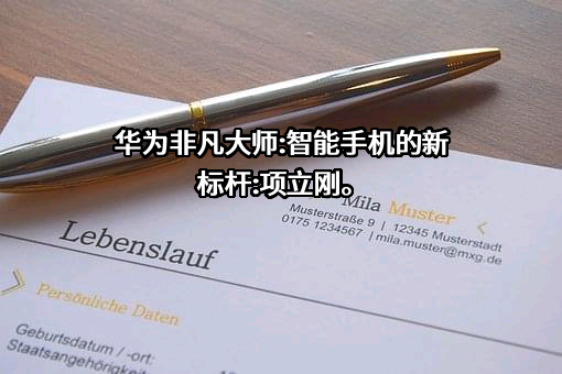华为技术有限公司