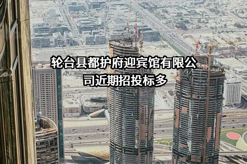 轮台县都护府迎宾馆有限公司近期招投标项目多