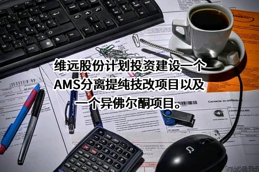 利华益维远化学股份有限公司