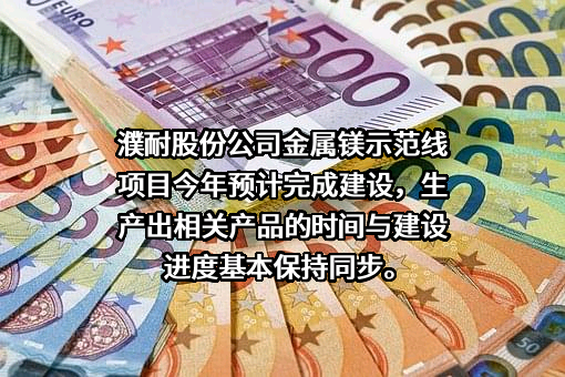 濮阳濮耐高温材料（集团）股份有限公司
