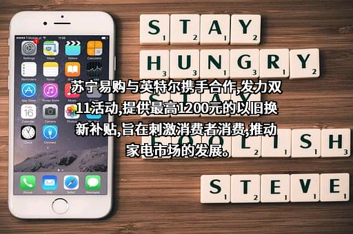 苏宁易购集团股份有限公司