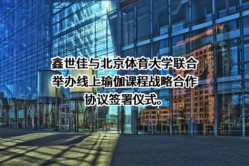 北京鑫世佳文化集团有限公司