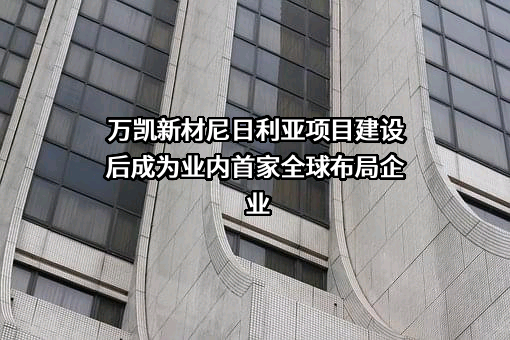 万凯新材尼日利亚项目建设后成为业内首家全球布局企业