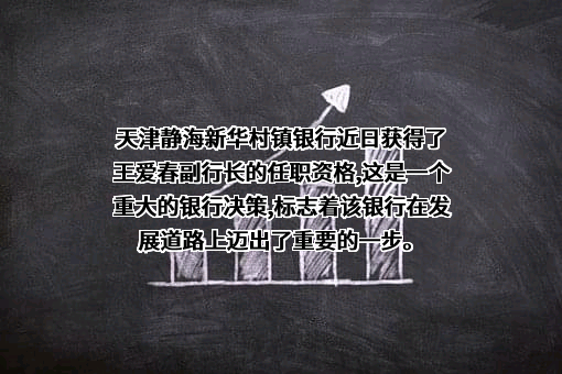 天津静海新华村镇银行股份有限公司