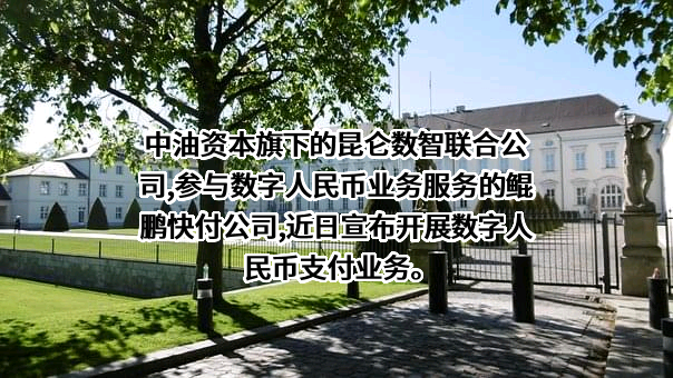 中国石油集团资本股份有限公司