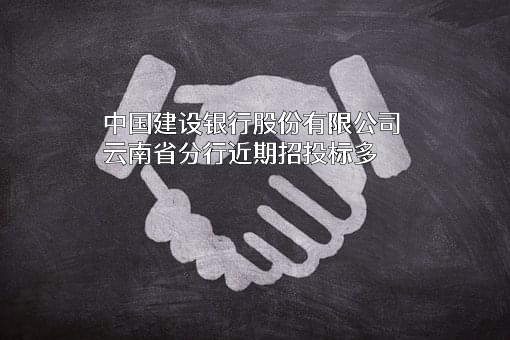 中国建设银行股份有限公司云南省分行