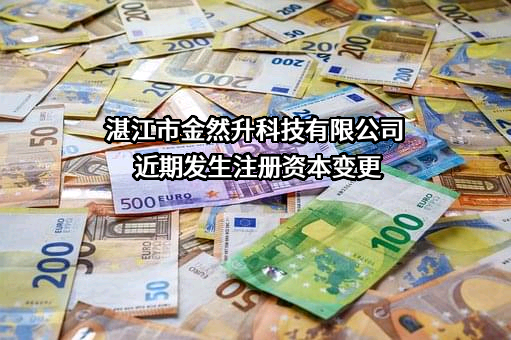 湛江市金然升科技有限公司