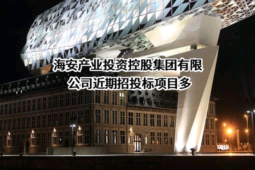 海安产业投资控股集团有限公司