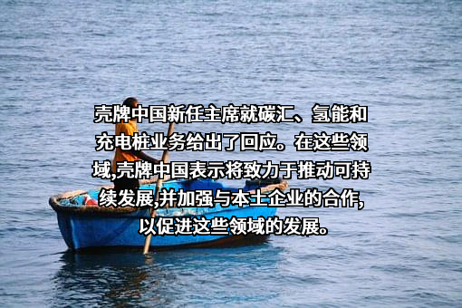 壳牌（中国）有限公司