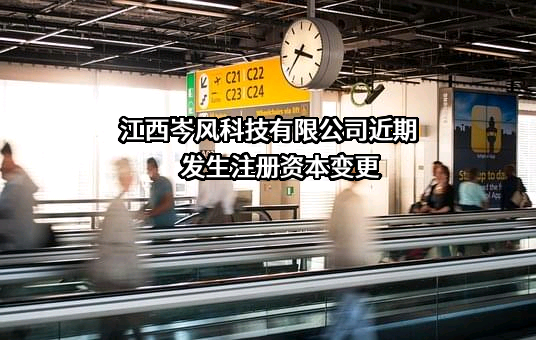 江西岑风科技有限公司