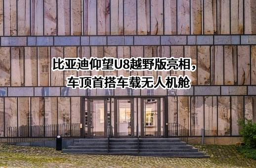 比亚迪股份有限公司