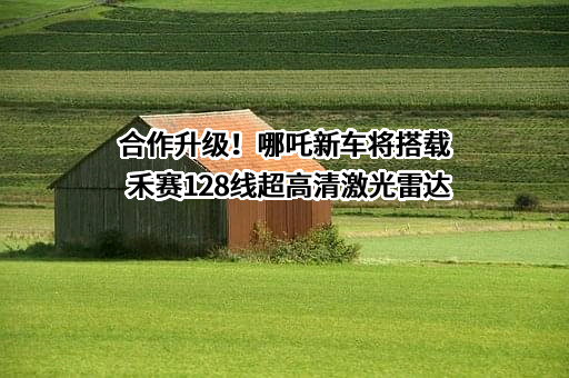上海禾赛科技有限公司