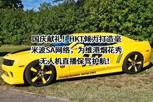 华为技术有限公司