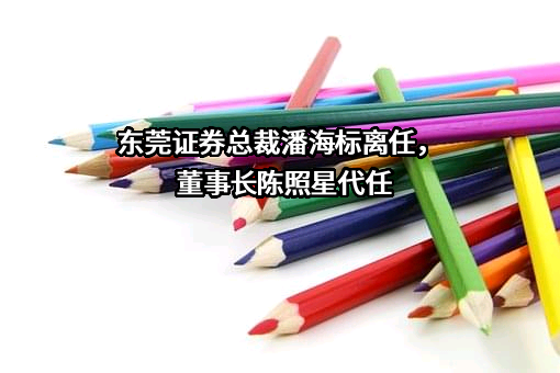 东莞证券股份有限公司