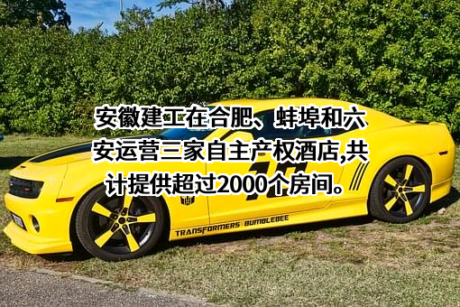 安徽建工集团有限公司