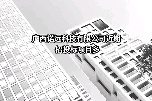 广西诺远科技有限公司