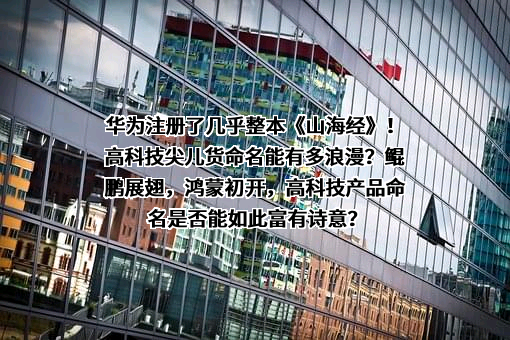 华为技术有限公司