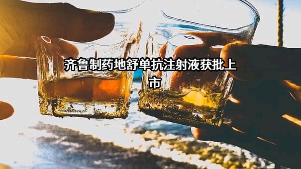齐鲁制药有限公司