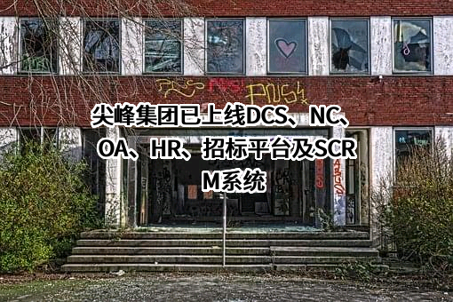 浙江尖峰集团股份有限公司