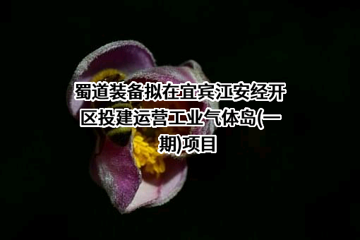四川蜀道装备科技股份有限公司