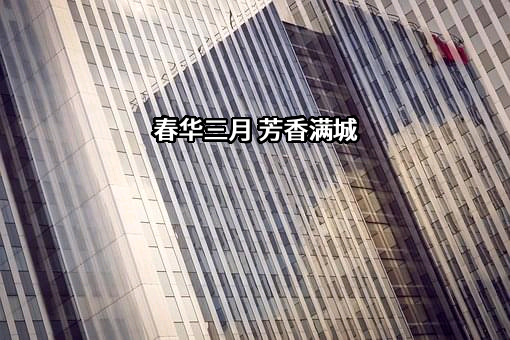 深圳市全景网络有限公司