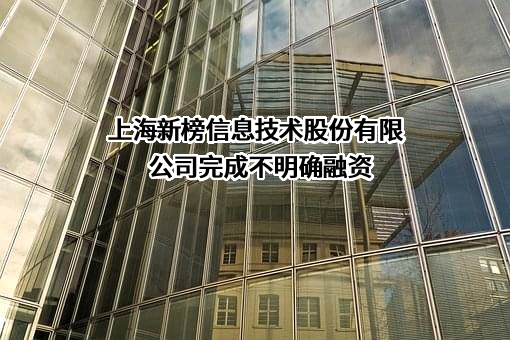 上海新榜信息技术股份有限公司