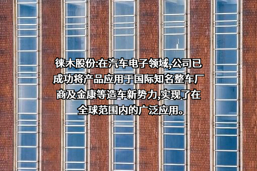上海徕木电子股份有限公司