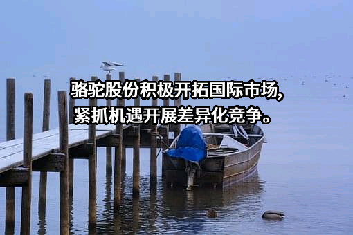 骆驼集团股份有限公司