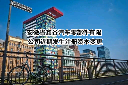安徽省鑫谷汽车零部件有限公司
