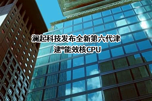 澜起科技股份有限公司