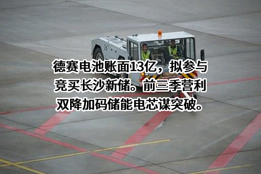 深圳市德赛电池科技股份有限公司