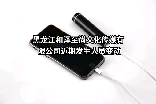 黑龙江和泽至尚文化传媒有限公司