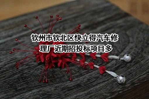 钦州市钦北区快立得汽车修理厂